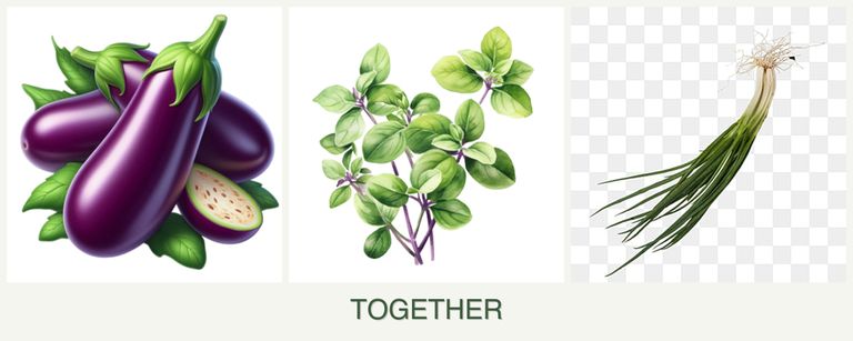 Can you plant eggplant, oregano and chives together?