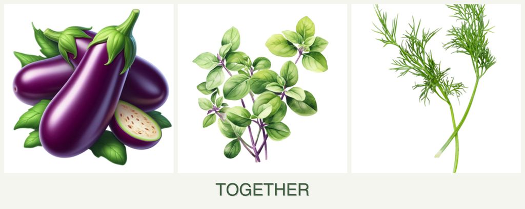 Can you plant eggplant, oregano and dill together?