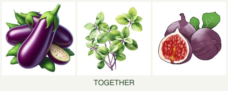 Can you plant eggplant, oregano and figs together?