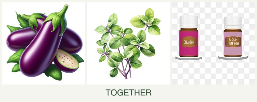 Can you plant eggplant, oregano and geraniums together?