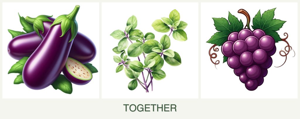 Can you plant eggplant, oregano and grapes together?