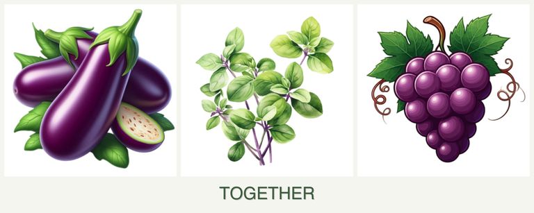 Can you plant eggplant, oregano and grapes together?