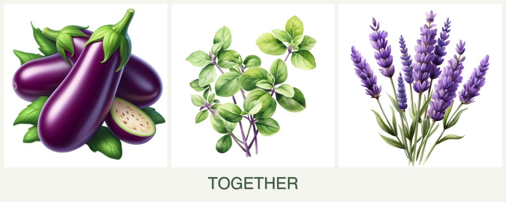 Can you plant eggplant, oregano and lavender together?