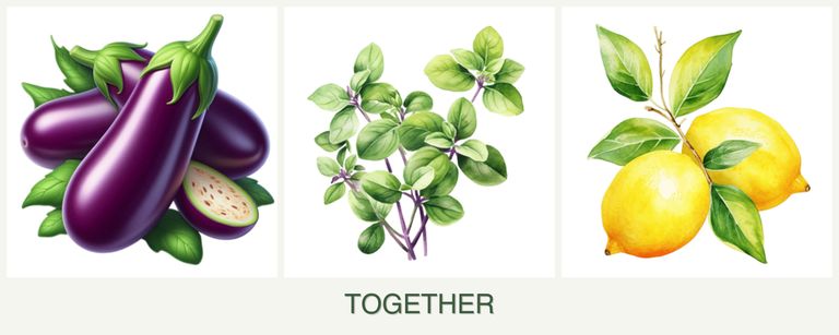 Can you plant eggplant, oregano and lemons together?
