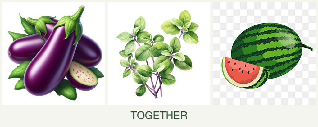 Can you plant eggplant, oregano and melons together?