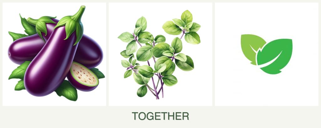Can you plant eggplant, oregano and mint together?
