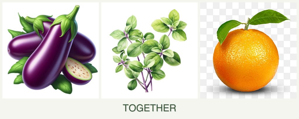 Can you plant eggplant, oregano and oranges together?
