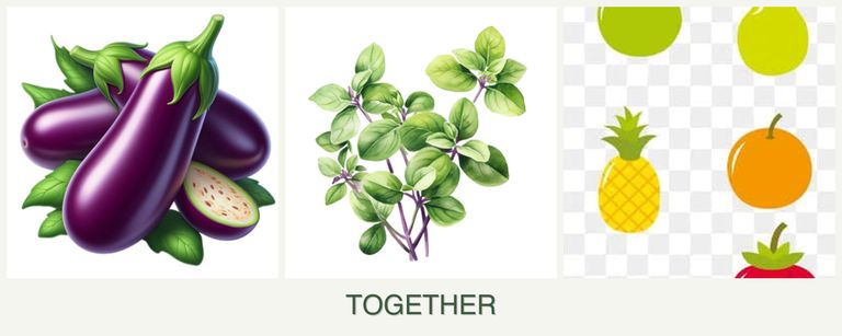 Can you plant eggplant, oregano and pears together?