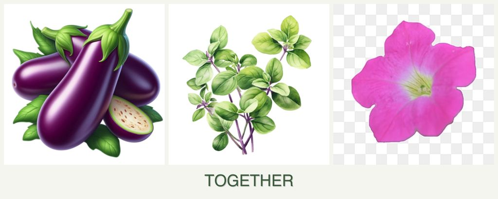 Can you plant eggplant, oregano and petunias together?