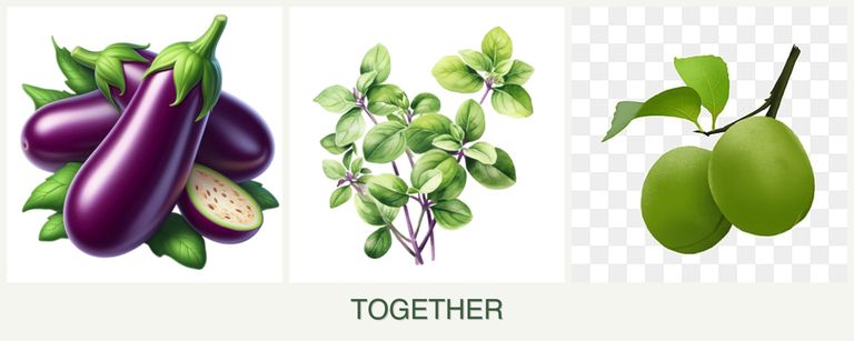 Can you plant eggplant, oregano and plums together?