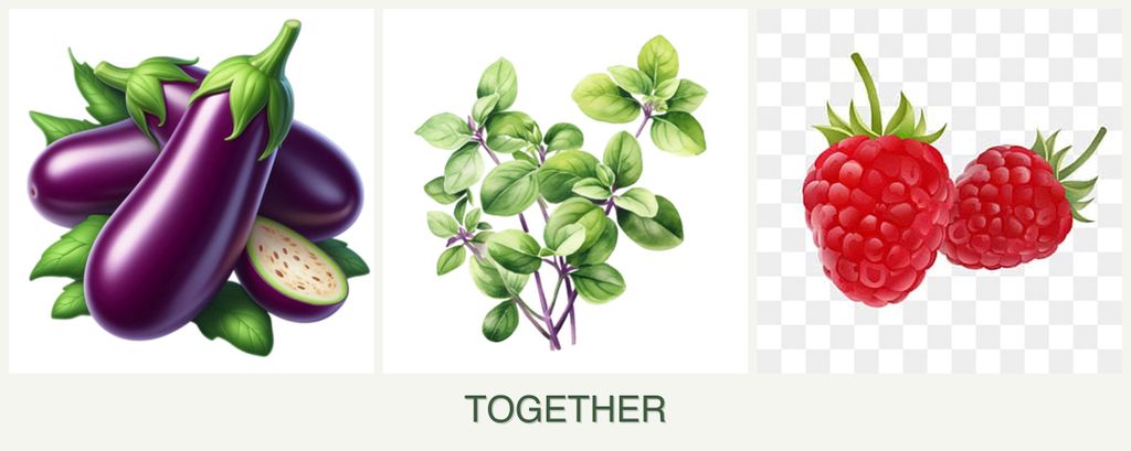 Can you plant eggplant, oregano and raspberries together?