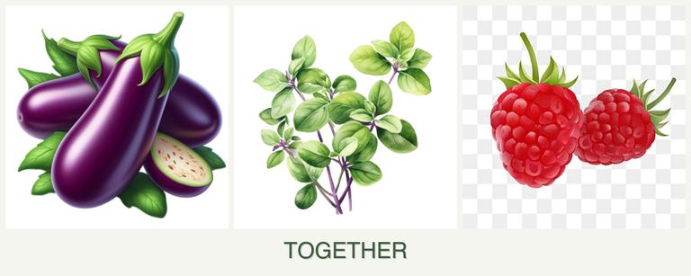 Can you plant eggplant, oregano and raspberries together?