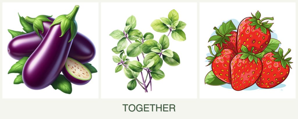 Can you plant eggplant, oregano and strawberries together?