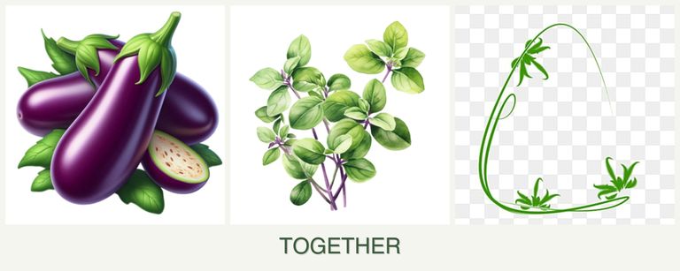 Can you plant eggplant, oregano and tarragon together?