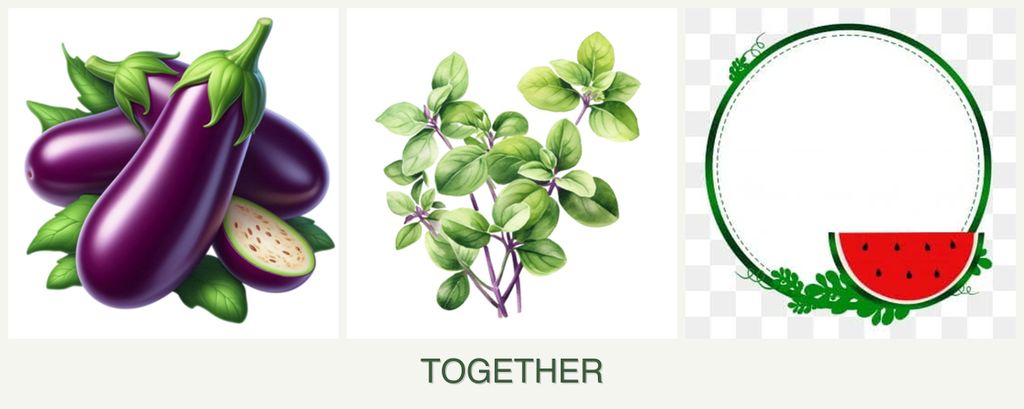 Can you plant eggplant, oregano and watermelons together?