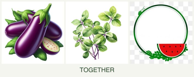 Can you plant eggplant, oregano and watermelons together?