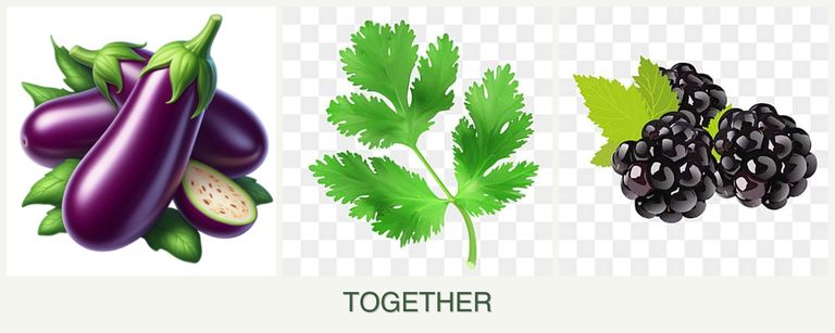 Can you plant eggplant, parsley and blackberries together?