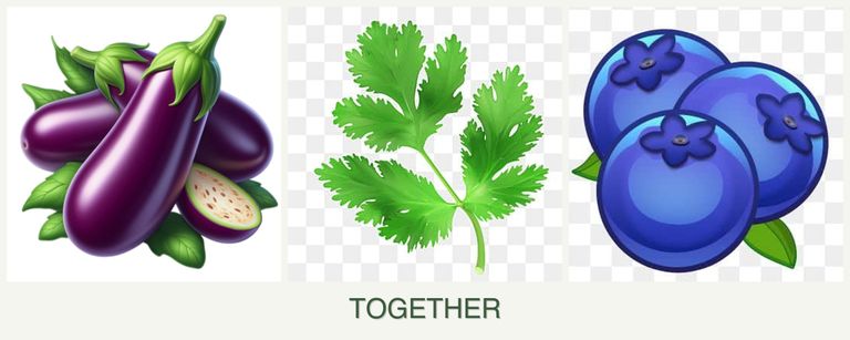 Can you plant eggplant, parsley and blueberries together?