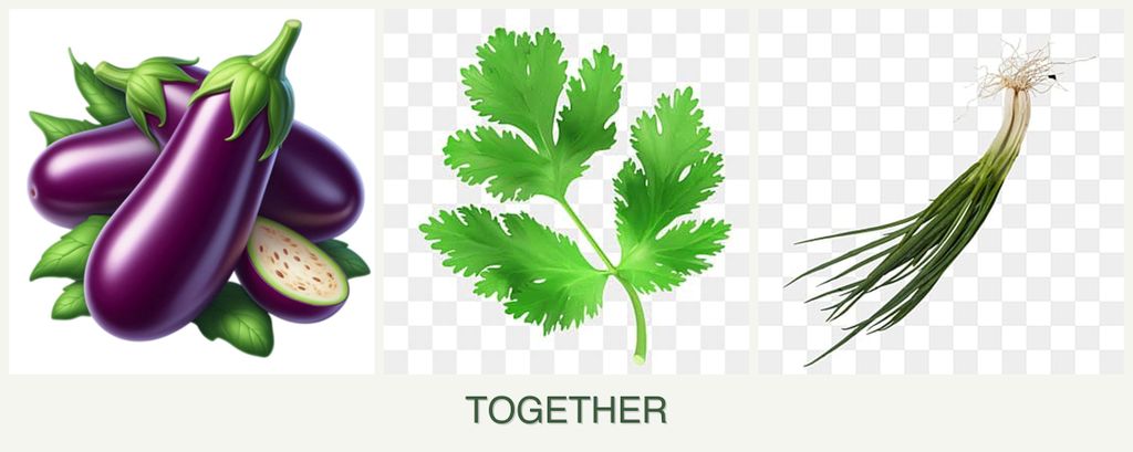 Can you plant eggplant, parsley and chives together?