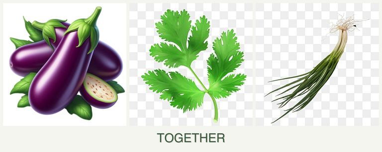 Can you plant eggplant, parsley and chives together?