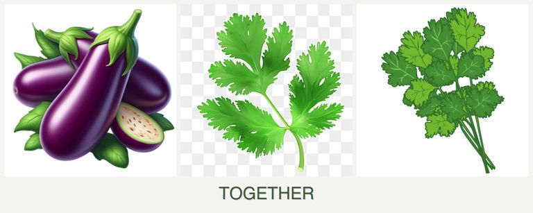 Can you plant eggplant, parsley and cilantro together?