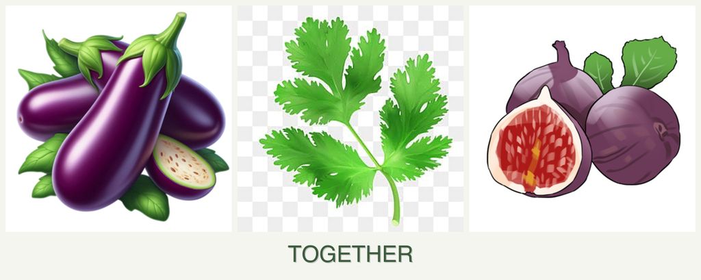 Can you plant eggplant, parsley and figs together?