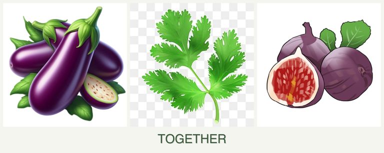 Can you plant eggplant, parsley and figs together?