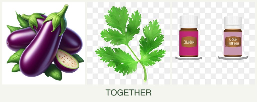 Can you plant eggplant, parsley and geraniums together?