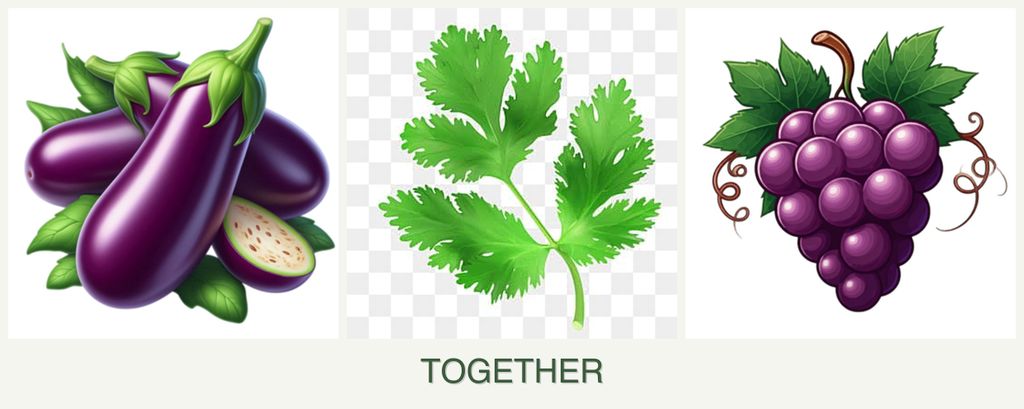 Can you plant eggplant, parsley and grapes together?