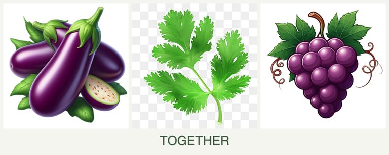 Can you plant eggplant, parsley and grapes together?
