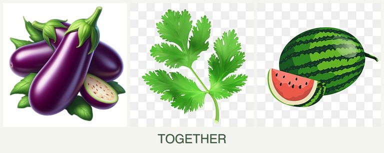Can you plant eggplant, parsley and melons together?