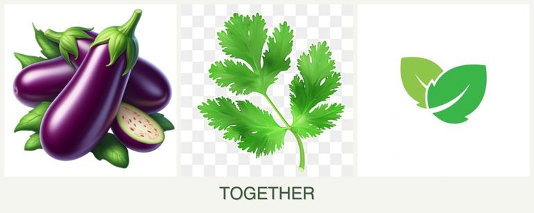 Can you plant eggplant, parsley and mint together?