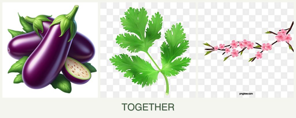 Can you plant eggplant, parsley and peaches together?