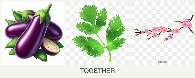 Can you plant eggplant, parsley and peaches together?
