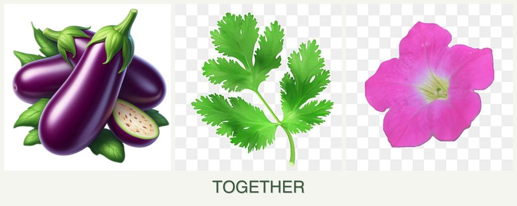 Can you plant eggplant, parsley and petunias together?