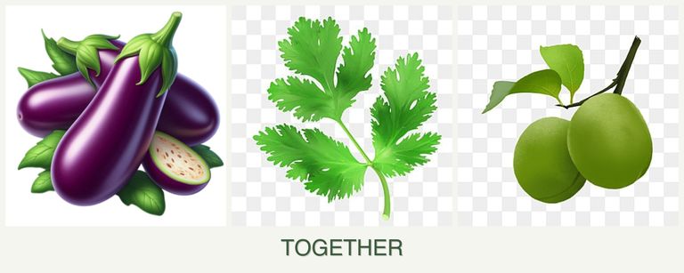 Can you plant eggplant, parsley and plums together?