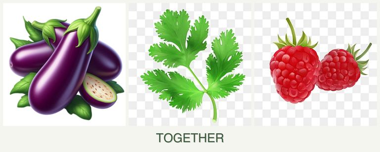 Can you plant eggplant, parsley and raspberries together?
