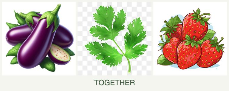 Can you plant eggplant, parsley and strawberries together?