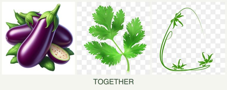 Can you plant eggplant, parsley and tarragon together?