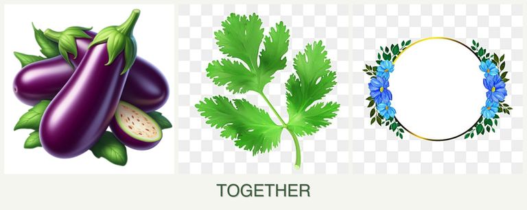 Can you plant eggplant, parsley and zinnias together?