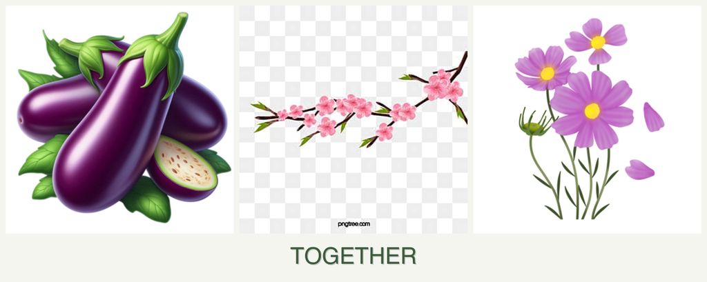Can you plant eggplant, peaches and cosmos together?