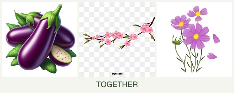 Can you plant eggplant, peaches and cosmos together?