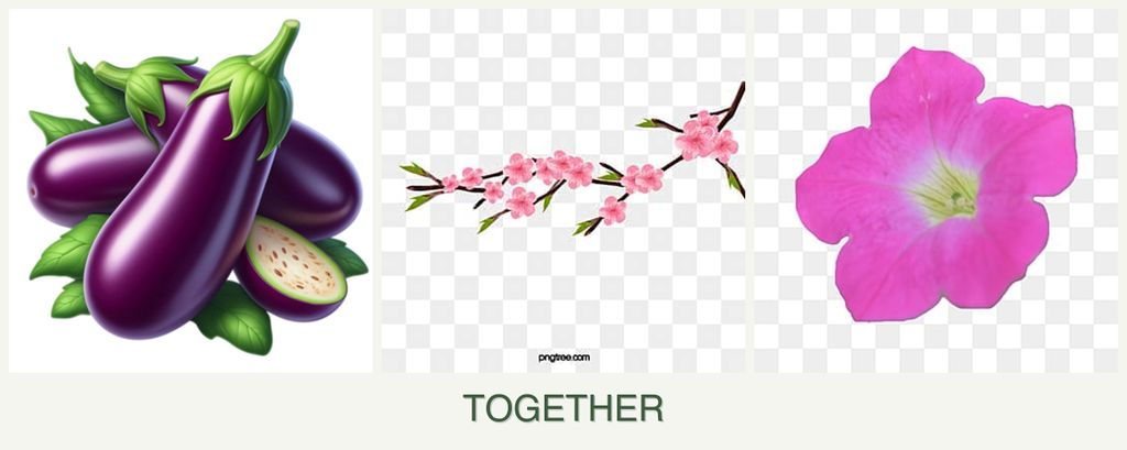 Can you plant eggplant, peaches and petunias together?