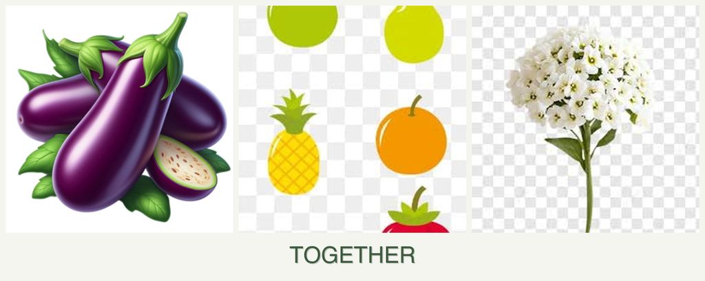 Can you plant eggplant, pears and alyssum together?