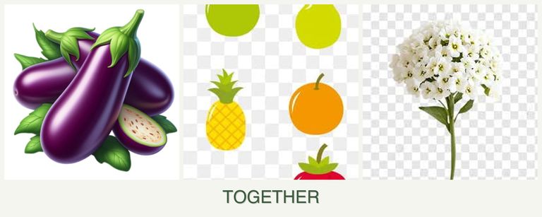 Can you plant eggplant, pears and alyssum together?