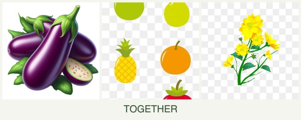 Can you plant eggplant, pears and calendula together?