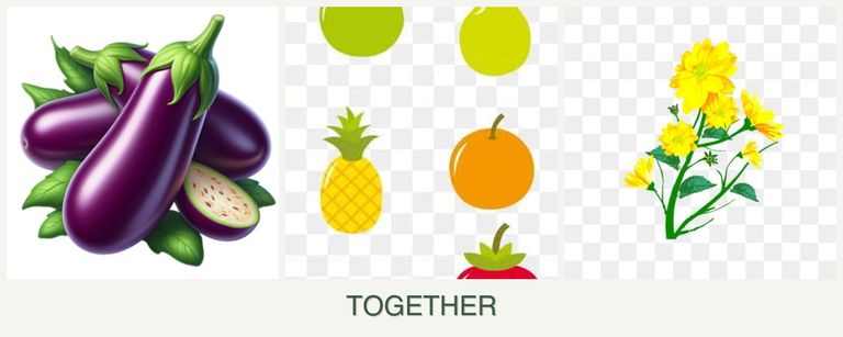 Can you plant eggplant, pears and calendula together?