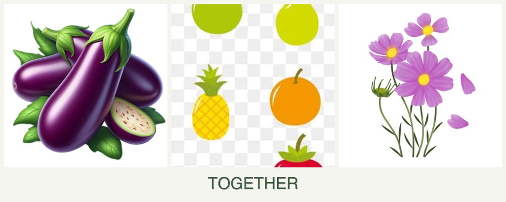 Can you plant eggplant, pears and cosmos together?