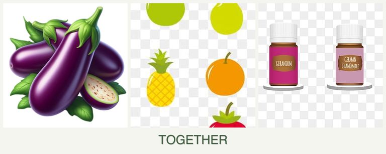 Can you plant eggplant, pears and geraniums together?
