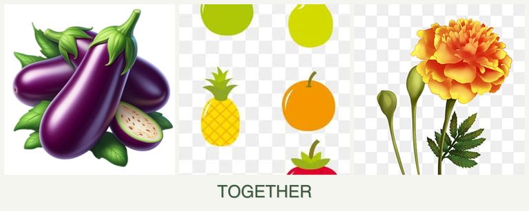 Can you plant eggplant, pears and marigolds together?
